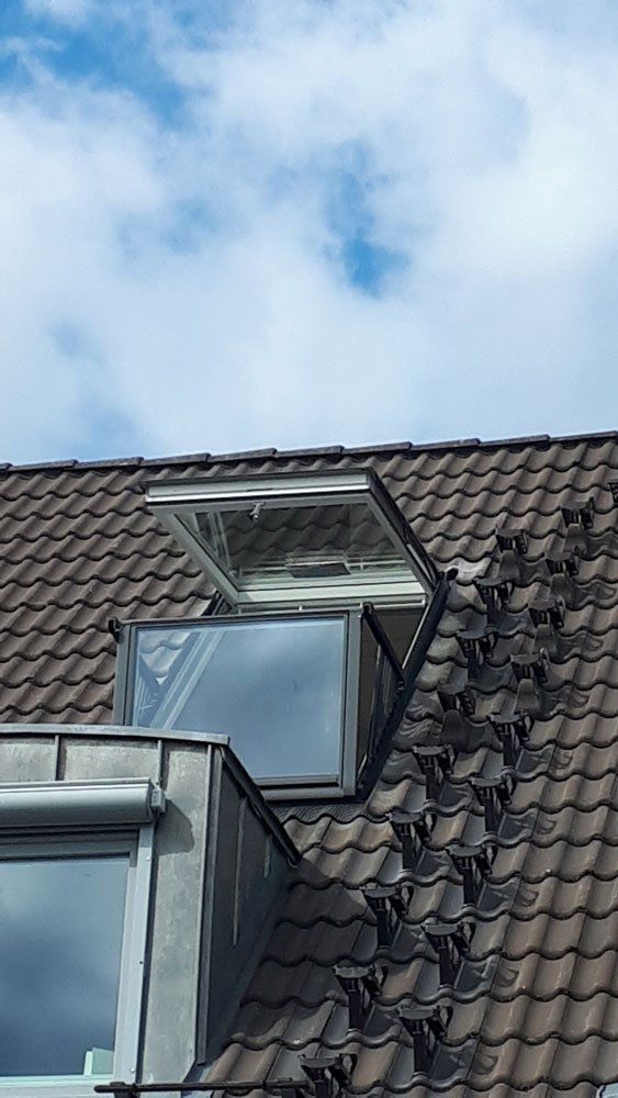 Dachfenster 2