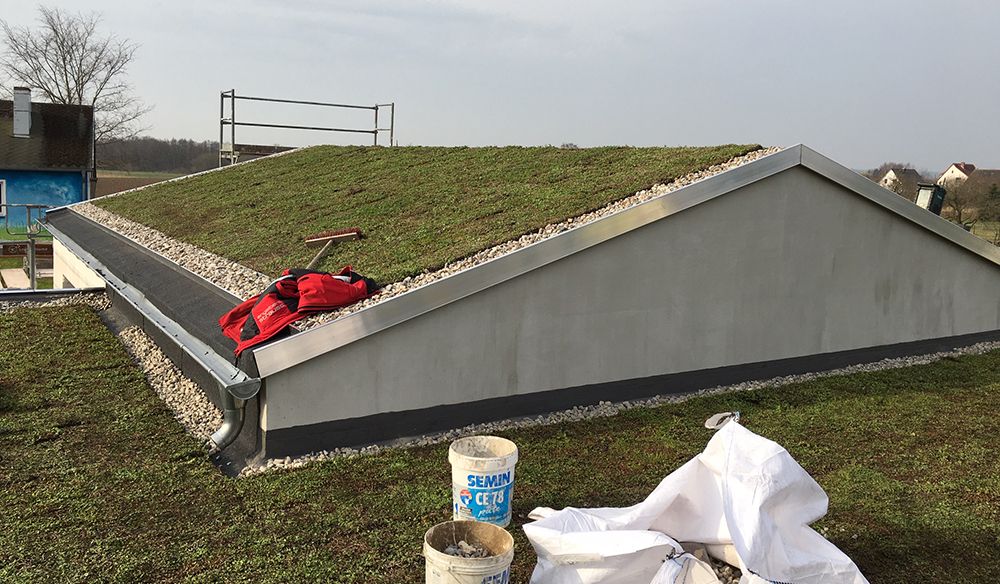 Gründach - Dachdecker Stralsund