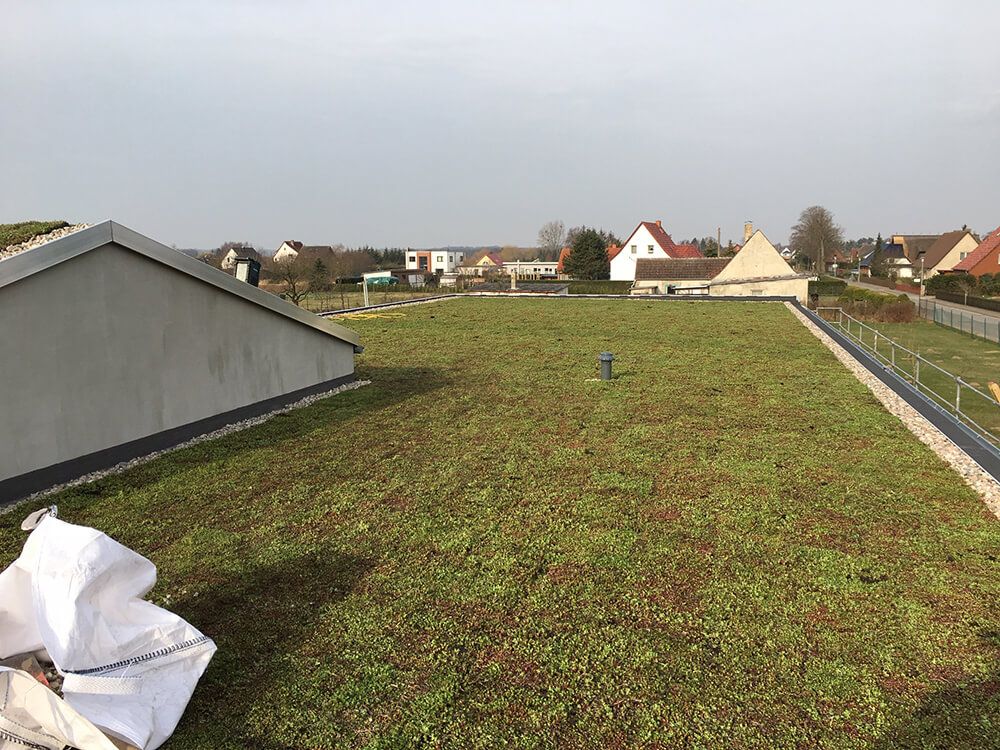 Natur auf dem Dach - Dachdecker Stralsund