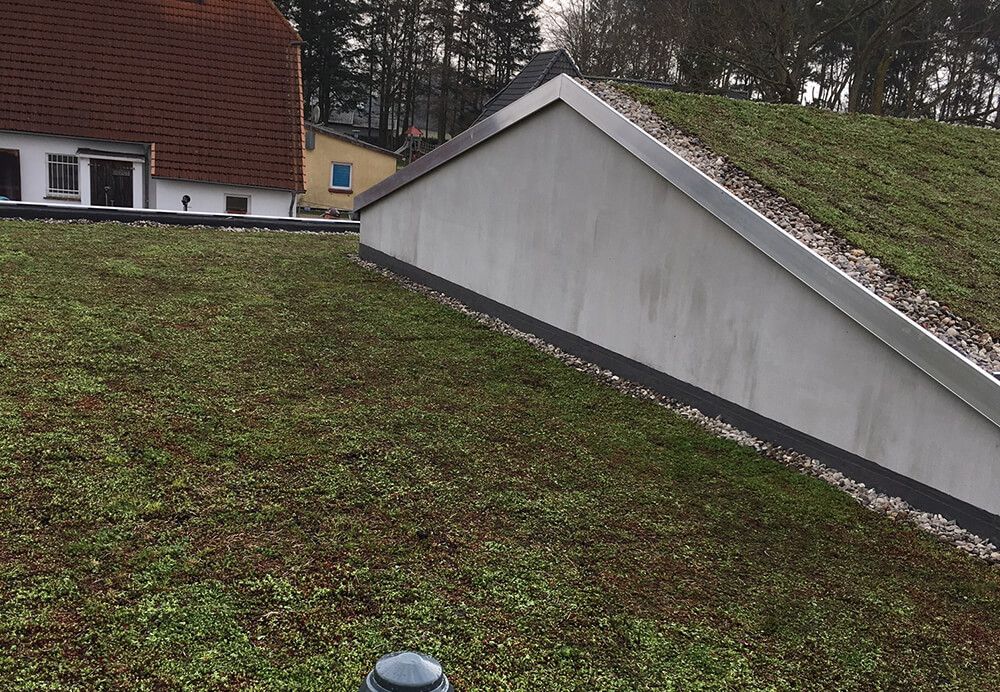 Gründächer - Dachdecker Stralsund