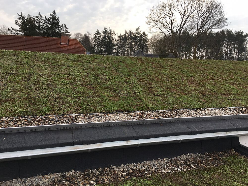 Grünfläche Dach - Dachdecker Stralsund